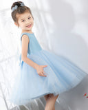 Light Blue Sleeveless Girls Princess Cute Dresses Birthday Dress Party Dresses Kids Dresses - dressblee