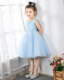 Light Blue Sleeveless Girls Princess Cute Dresses Birthday Dress Party Dresses Kids Dresses - dressblee