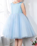 Light Blue Sleeveless Girls Princess Cute Dresses Birthday Dress Party Dresses Kids Dresses - dressblee