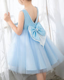 Light Blue Sleeveless Girls Princess Cute Dresses Birthday Dress Party Dresses Kids Dresses - dressblee