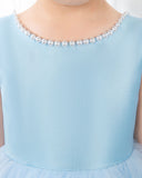 Light Blue Sleeveless Girls Princess Cute Dresses Birthday Dress Party Dresses Kids Dresses - dressblee