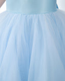 Light Blue Sleeveless Girls Princess Cute Dresses Birthday Dress Party Dresses Kids Dresses - dressblee