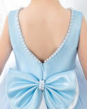 Light Blue Sleeveless Girls Princess Cute Dresses Birthday Dress Party Dresses Kids Dresses - dressblee