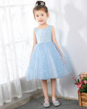 Light Blue Sleeveless Girls Princess Dresses Birthday Dress Party Dresses Kids Fashion Dresses - dressblee