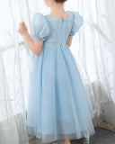 Light Blue Short Sleeves Beaded Girls Princess Dresses Birthday Dress Party Dresses Kids Fashion Dresses - dressblee