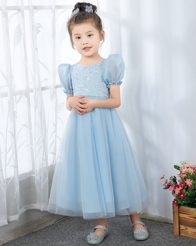 Kids Princess Dresses Children's Occasion Party Dress Birthday Dress dressblee Kids Princess Dresses Children's Occasion Party Dress Birthday Dress dressblee