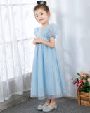 Light Blue Short Sleeves Beaded Girls Princess Dresses Birthday Dress Party Dresses Kids Fashion Dresses - dressblee