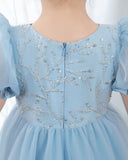 Light Blue Short Sleeves Beaded Girls Princess Dresses Birthday Dress Party Dresses Kids Fashion Dresses - dressblee