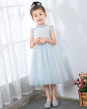 Light Blue Sleeveless Beaded Girls Princess Dresses Birthday Dress Party Dresses  Children's Occasion Wear - dressblee