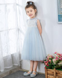 Light Blue Sleeveless Beaded Girls Princess Dresses Birthday Dress Party Dresses  Children's Occasion Wear - dressblee