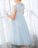 Light Blue Sleeveless Beaded Girls Princess Dresses Birthday Dress Party Dresses  Children's Occasion Wear - dressblee