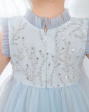Light Blue Sleeveless Beaded Girls Princess Dresses Birthday Dress Party Dresses  Children's Occasion Wear - dressblee