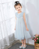 Light Blue Sleeveless Girls Princess Dresses Birthday Dress Party Dresses Children's Occasion Wear - dressblee