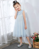 Light Blue Sleeveless Girls Princess Dresses Birthday Dress Party Dresses Children's Occasion Wear - dressblee