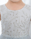 Light Blue Sleeveless Beaded Girls Princess Dresses Birthday Dress Party Dress Children's Occasion Wear - dressblee