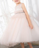 Pink Tulle Sleeveless Girls Princess Dresses Birthday Dress Party Dress Children's Occasion Wear - dressblee