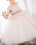 Pink Tulle Sleeveless Girls Princess Dresses Birthday Dress Party Dress Children's Occasion Wear - dressblee