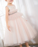 Pink Tulle Sleeveless Girls Princess Dresses Birthday Dress Party Dress Children's Occasion Wear - dressblee