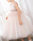 Pink Tulle Sleeveless Girls Princess Dresses Birthday Dress Party Dress Children's Occasion Wear - dressblee