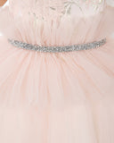 Pink Tulle Sleeveless Girls Princess Dresses Birthday Dress Party Dress Children's Occasion Wear - dressblee