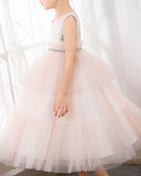 Pink Tulle Sleeveless Girls Princess Dresses Birthday Dress Children's Occasion Wear Party Dresses - dressblee