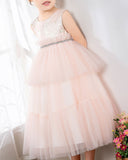 Pink Tulle Sleeveless Girls Princess Dresses Birthday Dress Children's Occasion Wear Party Dresses - dressblee