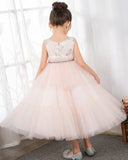Pink Tulle Sleeveless Girls Princess Dresses Birthday Dress Children's Occasion Wear Party Dresses - dressblee