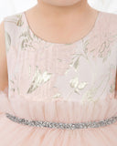 Pink Tulle Sleeveless Girls Princess Dresses Birthday Dress Children's Occasion Wear Party Dresses - dressblee