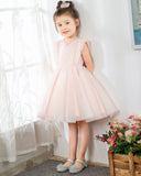 Fashion Pink Tulle Sleeveless Girls Princess Dresses Children's Occasion Wear Party Dresses Birthday Dress - dressblee
