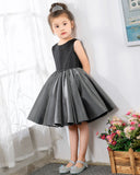 Fashion Sleeveless Girls Princess Dresses Children's Occasion Wear Party Dresses Birthday Dresses - dressblee
