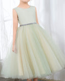 Sleeveless Girls Cute Princess Dresses Children's Occasion Wear Kids Party Dresses Birthday Dresses - dressblee