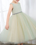 Sleeveless Girls Cute Princess Dresses Children's Occasion Wear Kids Party Dresses Birthday Dresses - dressblee