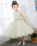 Sleeveless Girls Cute Princess Dresses Children's Occasion Wear Kids Party Dresses Birthday Dresses - dressblee