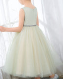 Sleeveless Girls Cute Princess Dresses Children's Occasion Wear Kids Party Dresses Birthday Dresses - dressblee