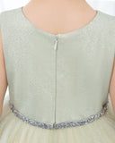 Sleeveless Girls Cute Princess Dresses Children's Occasion Wear Kids Party Dresses Birthday Dresses - dressblee