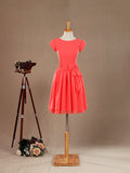 A-Line Jewel Neck Knee Length Chiffon Bridesmaid Dress with Cap Sleeves Buttons