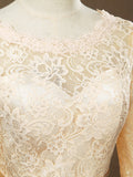 Sheath / Column Jewel Neck Knee Length Lace Bridesmaid Dress with Long Sleeves