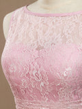 Sheath / Column Bateau Neck Floor Length Lace Bridesmaid Dress Open Back