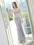 Mermaid / Trumpet Luxurious Glittering Fairy Sexy Formal Evening Dresses Sleeveless Floor Length