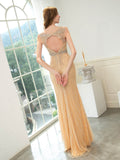 Mermaid / Trumpet V-neck Beaded Luxurious Sexy Formal Evening Dresses Sleeveless Floor Length Prom Dresses